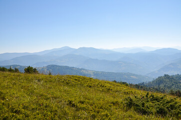 Obraz premium Tranquil mountain landscape with a sunlit meadow in the foreground, layered blue ridges in the distance, and a bright cloudless sky. Carpathian Mountains, Ukraine