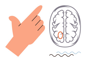 Fototapeta premium Hand making a gesture near a simplified brain sketch with a marked region. Ideal for neuroscience, cognition, brain mapping, learning, behavior analysis, communication, simple flat metaphor
