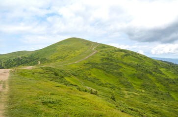 Mount Stig verdant trail winds across a lush Svydovets ridge showcasing expansive green scenery under a bright sky. Carpathian Mountains, Ukraine