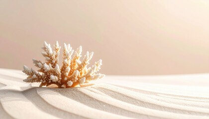 Natural Coral Specimen Resting on Rippled Sand Dunes Under Soft Sunlight Beach Shoreline Macro View