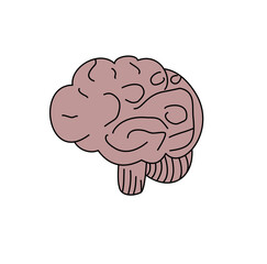 Stylized Brain Illustration on White Background