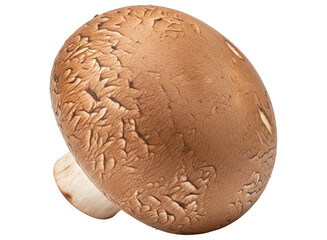 Fresh brown cremini mushroom with textured cap and short stem for cooking