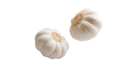 The whole garlic hovers softly with natural shadows, isolated on white