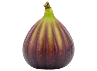 Fresh ripe fig fruit with vibrant purple and green skin, ready for healthy eating