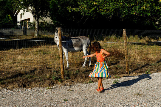 Child Dances Joyfully Beside Donkey in Rural Outdoor Setting