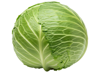 Fresh green cabbage head with vibrant leaves, ready for healthy cooking and salads.