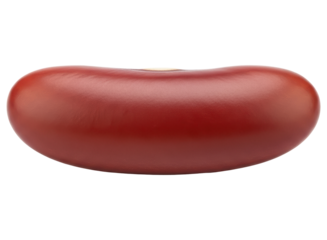 Single red kidney bean close up macro shot with smooth surface and rich color