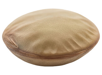 Close up of a single brown lentil, a healthy legume for cooking