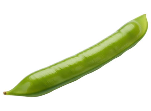 Fresh vibrant green pea pod, a healthy vegetable ingredient for cooking