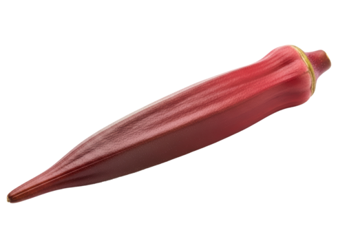 Vibrant red okra pod for culinary use and healthy food concepts