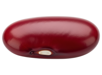 Vibrant red kidney bean, a healthy legume used in various delicious dishes