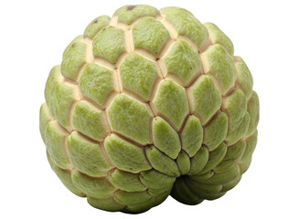 Fototapeta premium Fresh green custard apple fruit, a delicious and healthy tropical snack