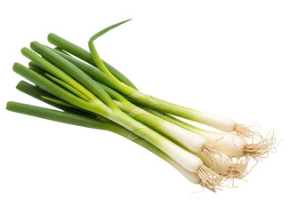 Fresh vibrant green onions with roots, a healthy culinary ingredient for cooking