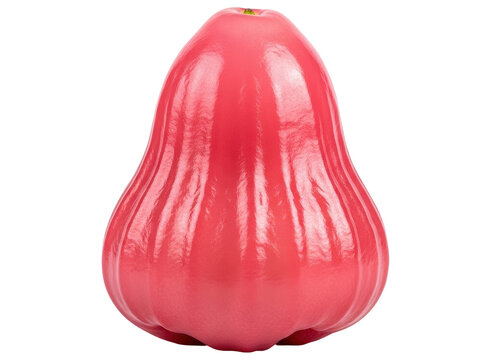Fresh and juicy pink rose apple, a delicious tropical fruit with a unique bell shape.