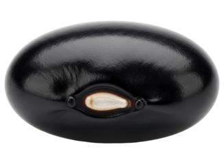 Close up of a single black bean, a healthy legume used in various cuisines