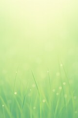 봄아침의 이슬 맺힌 풀밭