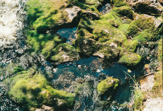 Lush Moss-Covered Rocks Beside a Flowing Stream in Nature