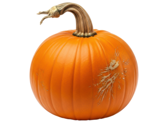 Vibrant orange pumpkin with a unique curved stem, perfect for autumn decor