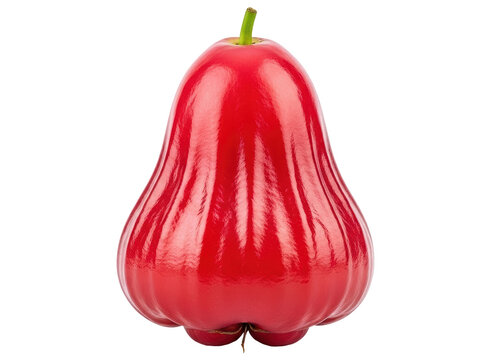 Vibrant red rose apple freshly picked ready to eat healthy tropical fruit