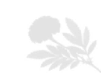 Cluster Bud and Foliage Shadow Overlay