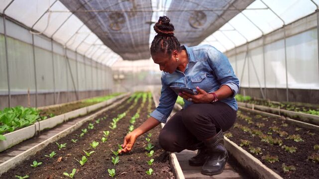 20250607 Farm EDU