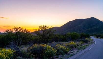 Fototapeta premium Scenic sunset over desert highway
