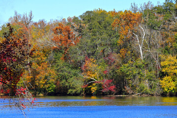 Obraz premium Fall colors reflecting on the Catawba River at Landsford Canal State Park, SC. 