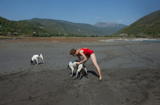 Summer vacation with two dogs 