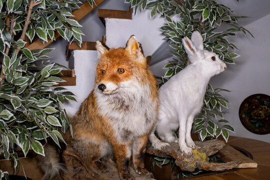 Stuffed animals in a restaurant