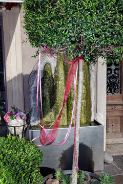 Decorated small tree in an alley