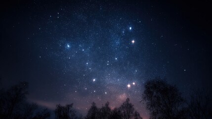 Starry Night Sky with Constellations and Trees Silhouetted Against a Deep Blue Backdrop