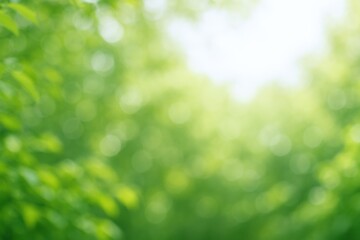 Obraz premium Abstract Green Foliage Background with Bokeh Lights, Perfect for Nature, Wellness, or Sustainable Business Concepts