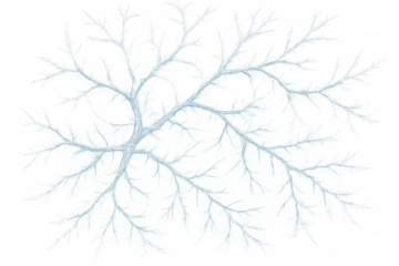 Ice frost pattern forming tree branches, freezing cold winter drawing, abstract frozen nature texture illustration