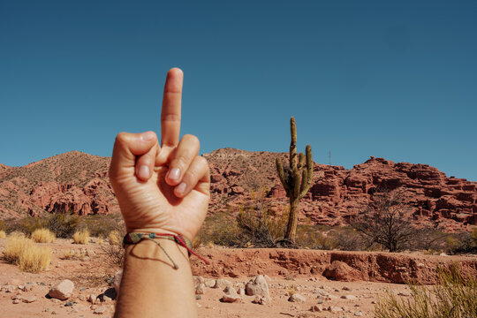 Hand imitating cactus shape with funny middle finger gesture