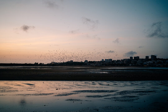 Stunning Sunset Over Coastal Town With Flocks of Birds