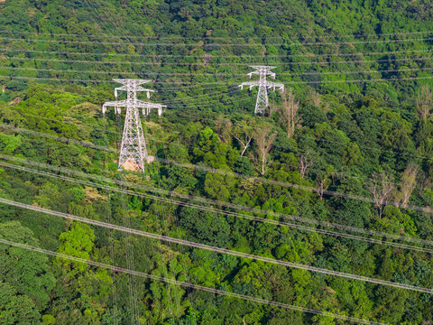 High-voltage power lines in a dense forest