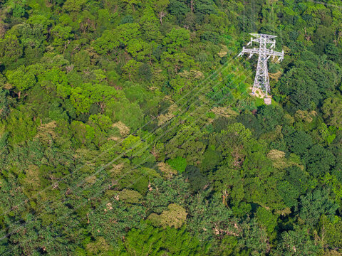 Electrical transmission tower in dense forest canopy - Powered by Adobe