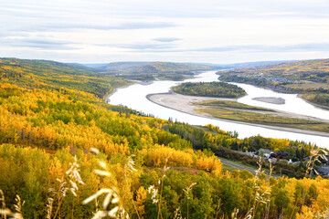 View from the hill to the river down in the valley surrounded with forests with yellow and green autumn foliage. Sagitawa lookout, Peace River, Alberta, Canada. © Saeedatun
