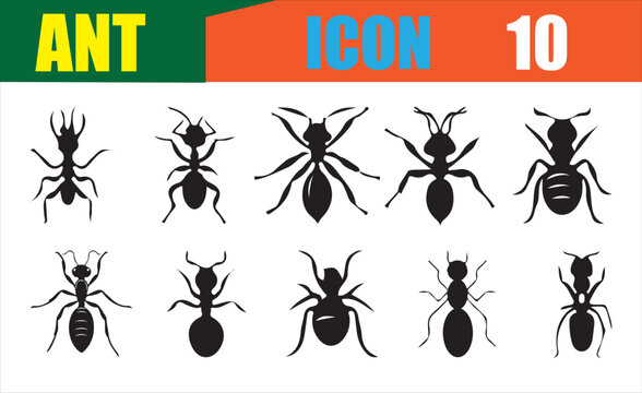  Alate Ant Vector Icon. Illustration Eps 10