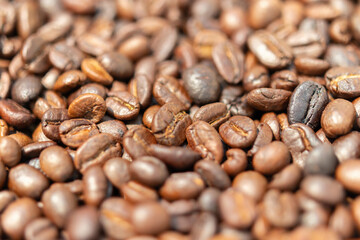 Fresh premium roasted brown Arabica coffee beans background