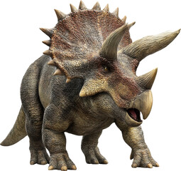 Fototapeta premium Styracosaurus prehistoric horned dinosaur isolated on white