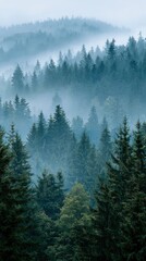 Fantasy Scene with Rising Sunbeam and Golden Mist