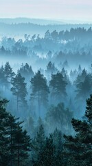 Magical Garden Filled with Fairy Lights and Hidden Secrets