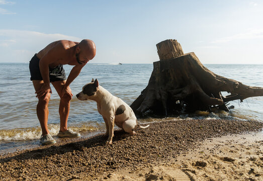A Man Scolds A Guilty Dog At The Summer Beach