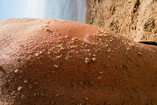 Sand-covered Skin After a Sunny Day at the Beach