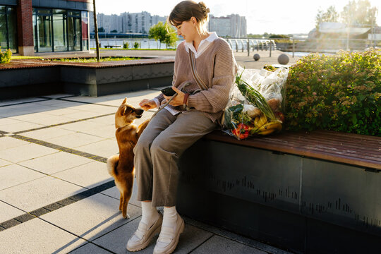 Woman giving treat to puppy while sitting with groceries outdoors