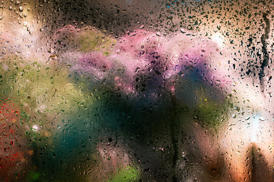 Flower Window Condensation