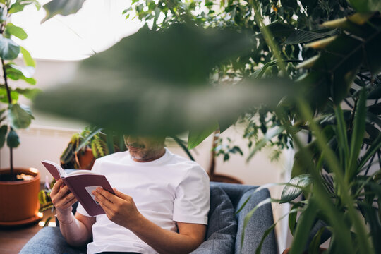Man Reading a Book in a Tranquil Room Surrounded by Indoor Greenery