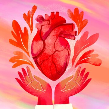 Medical concept doctor hands  care of heart 