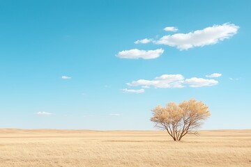 Lone Tree in Expansive Yellow Grassland Under Bright Blue Sky with Fluffy Clouds